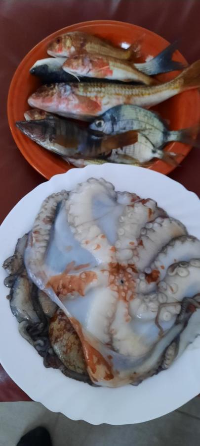 Climatisee Avec Piscine Privee, Ras El Ma *